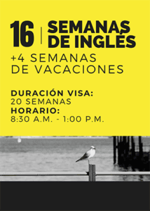 Curso de Ingles en Perth - 16 semanas