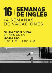 Curso de Ingles en Perth - 16 semanas Curso de Ingles en Perth - 16 semanas