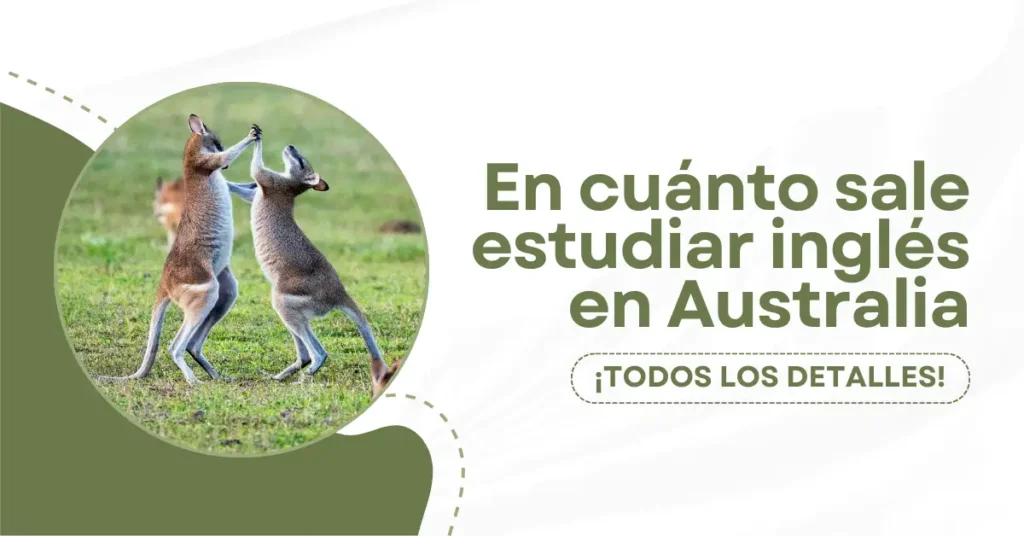 Cuánto cuesta estudiar en Irlanda - Guía de Precios 2025 8 Cuanto sale estudiar ingles en Australia - Cover
